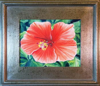 Orange Hibiscus - Image 2