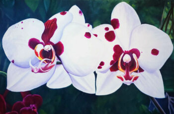 Orchids