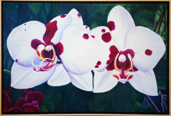 Orchids - Image 2