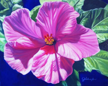 Pink Hibiscus