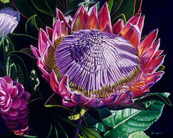 Protea