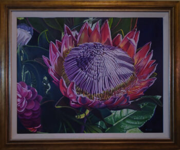 Protea - Image 2