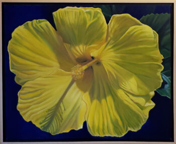 Yellow Hibiscus - Image 2