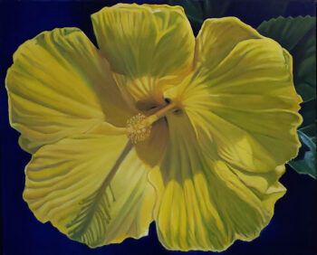 Yellow Hibiscus